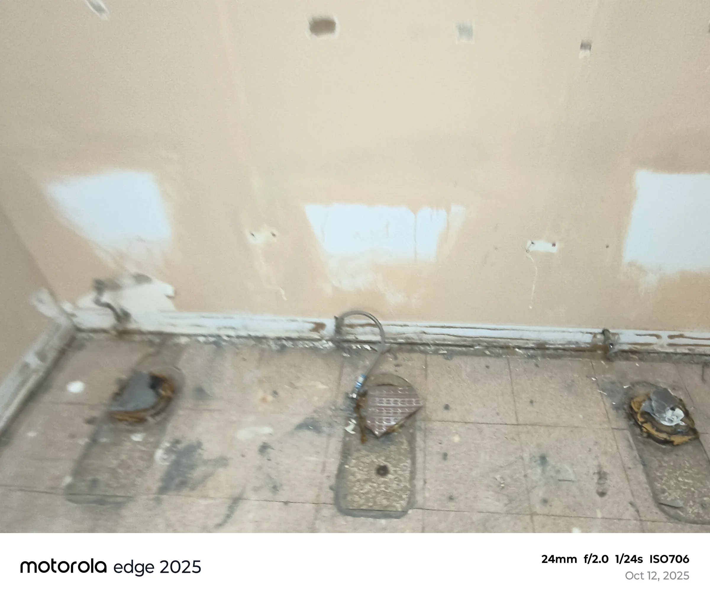 Toilet flange repair Tampa