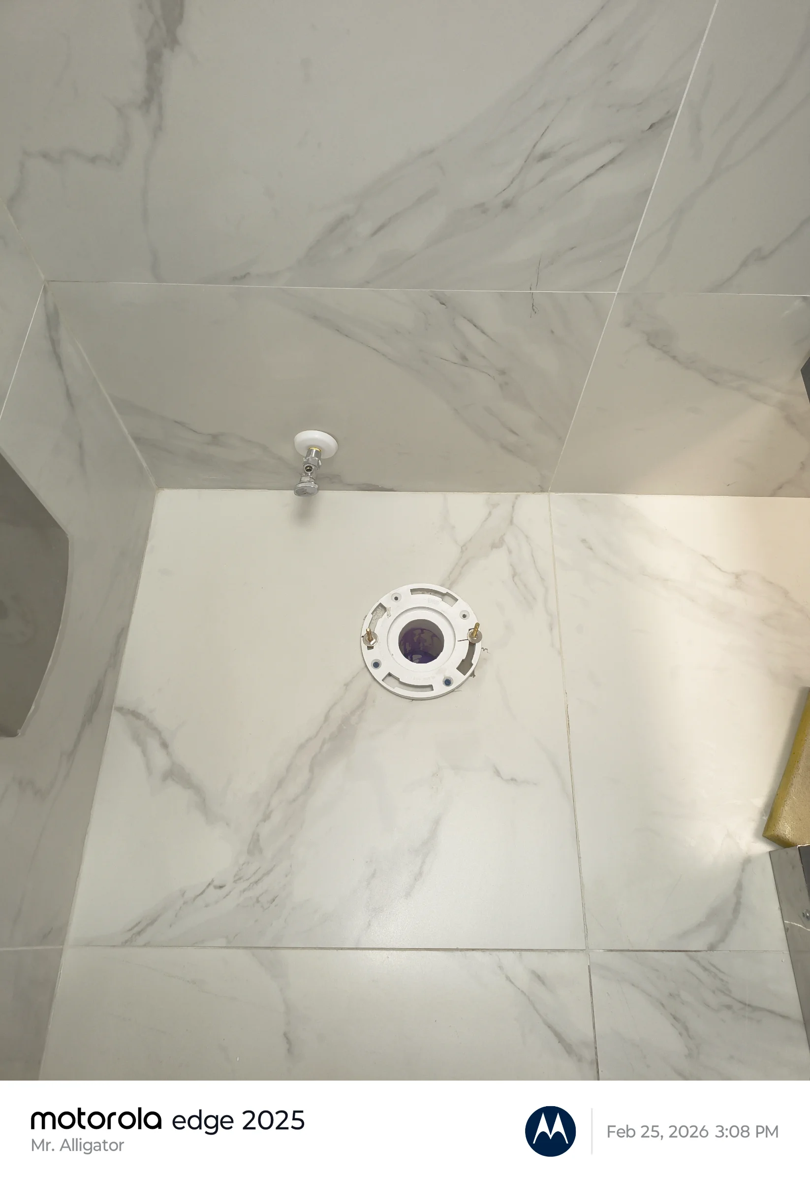 Toilet flange replacement Tampa